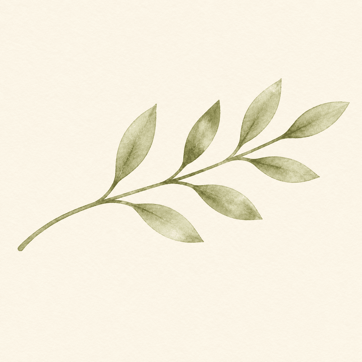 A soft botanical motif
